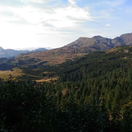 Bed & Bar Mini Apartmán *