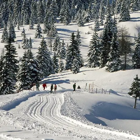 Bed & Bar Mini Apartmán Pontebba